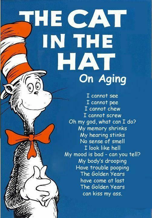 cat in hat hat. The Cat In The Hat Says…